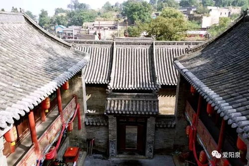 立夏天台风潮：传统立夏，现代爆款，古今交融