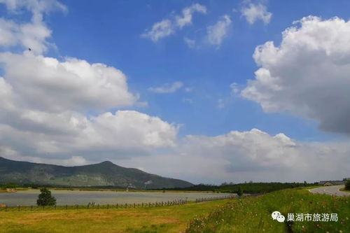 摩洛哥留学生严赫的“湿地日记”：那些数据之外的鸟鸣和青草香