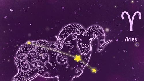  本节最主要描写的是一种无厘头但让人心痒痒的较小宇宙现象，与传统方式算命术或风水无关。