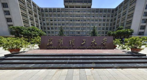 随机噪音段落：