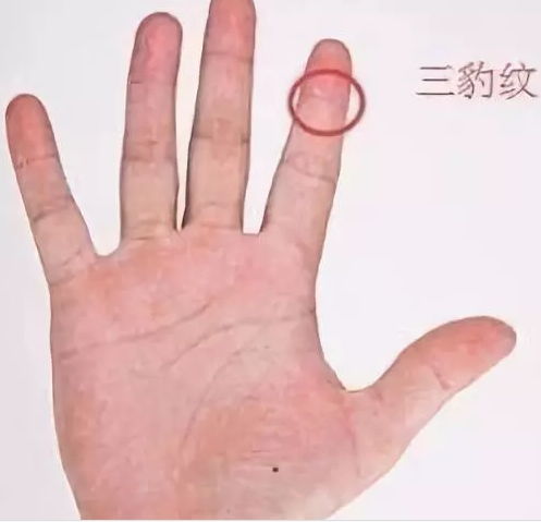 手相里出现美人环和两个木星环，这是怎么回事？