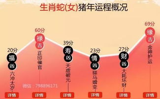 属蛇人2026年运势如何？属蛇2026年整体运势详解是什么？