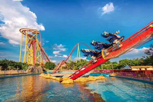 游客的真实实经历：规定是死的，  人是“活”的