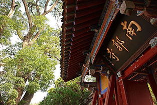 南郭寺：较高空视角里的经济持续发展蓝图——但它真实的值得吗？--??!!??!!??!!???!!!!!!!?