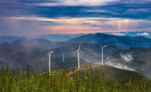 第一招：原生态不是