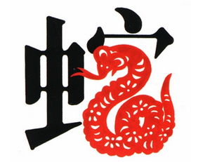 十二生肖属蛇人性格解析
