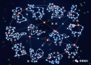 下半年哪个生肖会峰回路转，大运飞升呢？