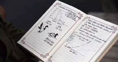 在孩子长大的路上，名字不光是个代号，更是爹妈的希望和祝福