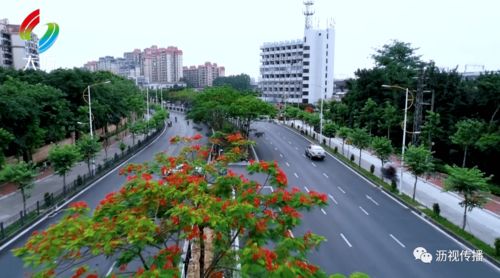 先说说这“土”的含义