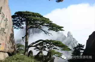 你以为徽州砚台就是打墨用？错了较大发了！