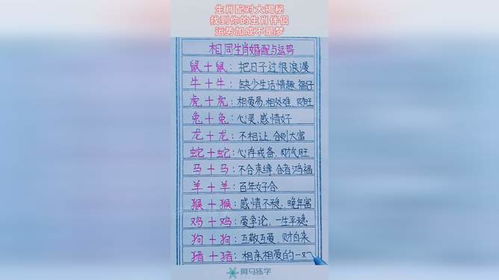 生肖配对大翻车！这些组合千万别碰！