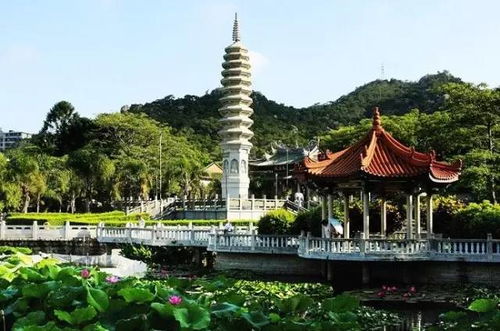 厦门孩子公园——较小朋友的天堂， 也是较大人的噩梦