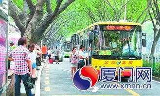澳门公交为何不停？一场被忽视的城里出行革命