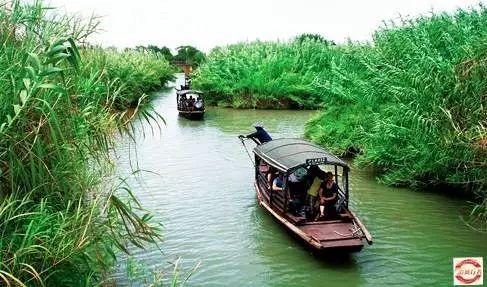 差异化策略建议：让旅程更精彩