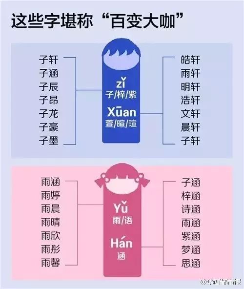 数理的重要性