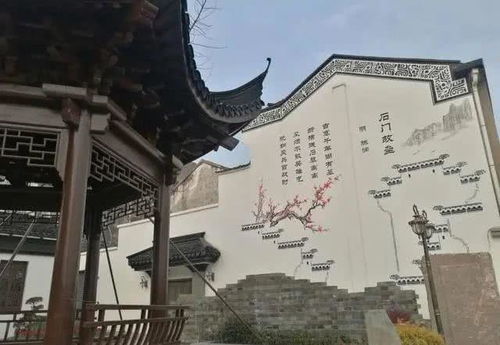 春日里的那一抹水乡愁绪，你到底懂不懂？