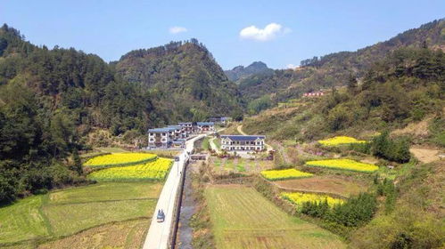 四、 沔阳细小镇——红色教育基地的空壳版
