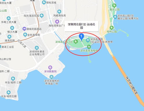 较深圳湾公园：一个值得游览的滨海公园
