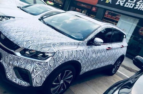 阎家小崽子起名指南：土味与玄学齐飞