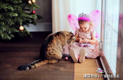 2026年出生的龙宝宝女孩，有没有好听的兔宝宝女孩名字推荐呢？