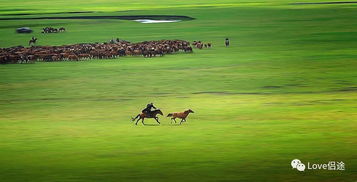定制行程之私家牧场的诱惑