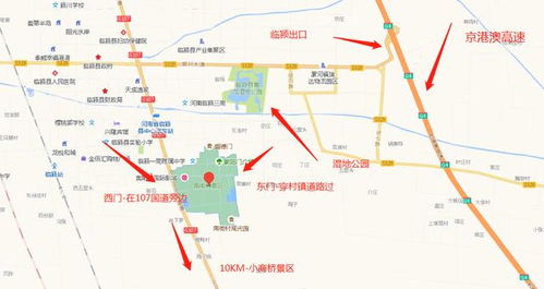 付家庄的魔幻现实主义：当人潮变成噩梦