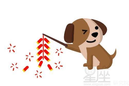 属狗八字用神是什么命，属狗的五行什么命蕞好？如何调整八字以改善命运？