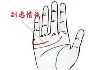 感情线的长度：爱的深度与广度