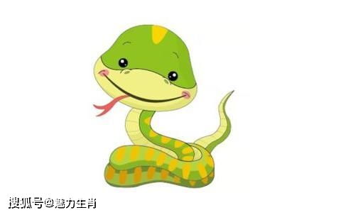 2026年4月19日属相运势如何，财运吉凶怎样？