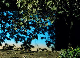 月黑风高下的诡异古井与风水玄机