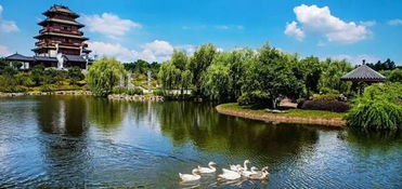 花明楼风水和炭子冲最近有什么最新消息呢？