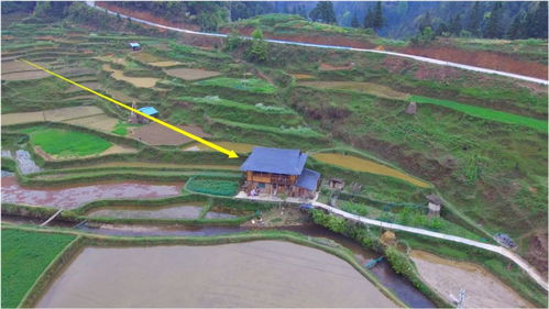 沈阳北陵讲解,沈阳北陵风水如何样