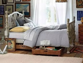 5. 仙人掌放床底，老板跪着加薪