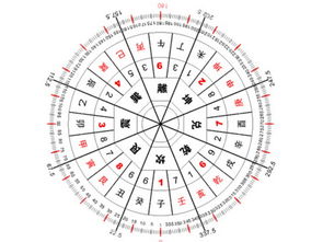 女生八字纯阴命格与阳性人八字有何区别？