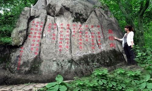 2026年最新优惠！老人学生必看！