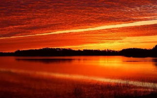 夕阳星曜？我看是夕阳红老年俱乐部吧！