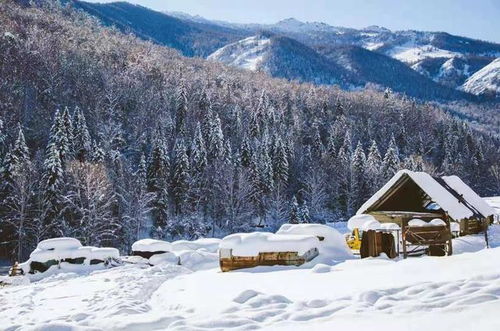一、 阿勒泰天气：冷到怀疑人生