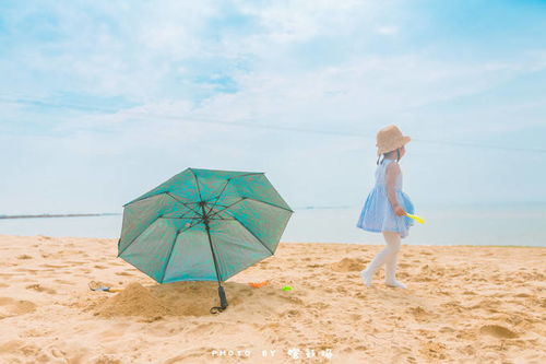 赶海活动：一场与大海的残酷博弈