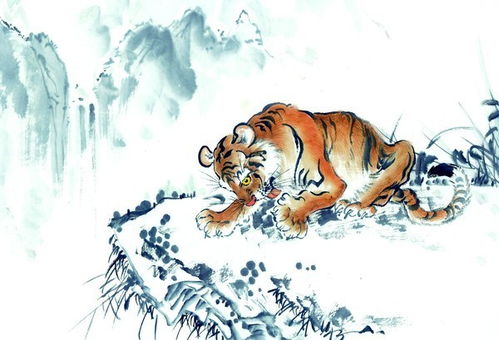 生肖虎的性格与运势