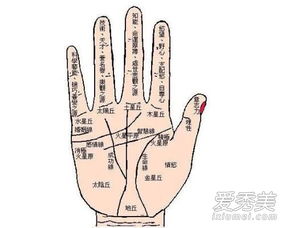 如何在线进行手相智能测试，查看手相分析结果？