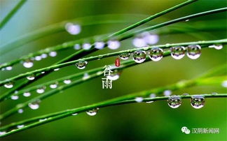 五行流转与庄稼的呻吟