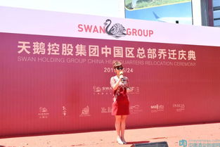 黄历上的说法：吉是吉了…可是…