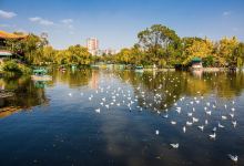 那些年我们踩过的坑