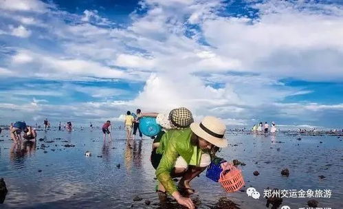 暴雨与海鲜的量子纠缠