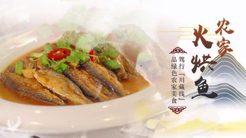火烘鱼：让你重新认识