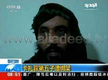 再说说的抵抗