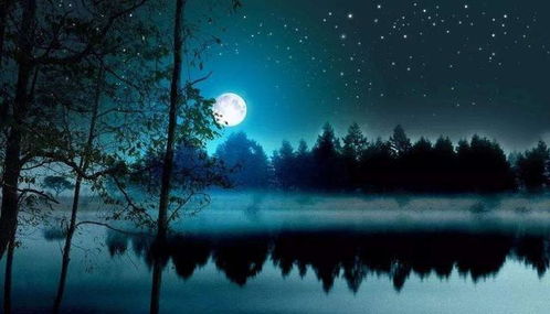 月夜下的风水魔咒与生肖的暗语