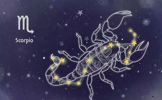 2.1 天蝎与黑暗料理——真的黑暗吗？不是是深沉味道。