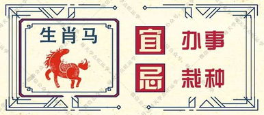 11月24日属兔运势中，24日属兔财运预测是怎样的？