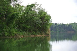 崇州白塔湖公墓,崇州白塔湖公墓